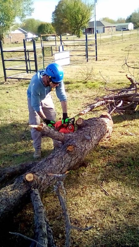 Cutting a felled log on the ground